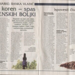 Gorki koren